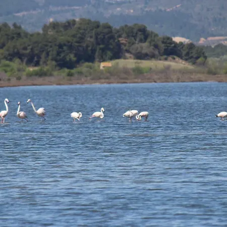 Maison De Pecheur بيت للعطل