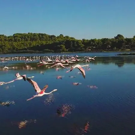 بيت للعطل Maison De Pecheur