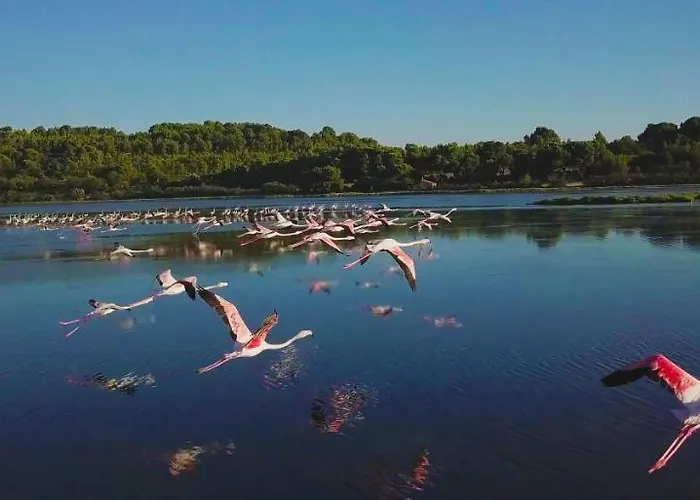 Casa vacanze Maison De Pecheur